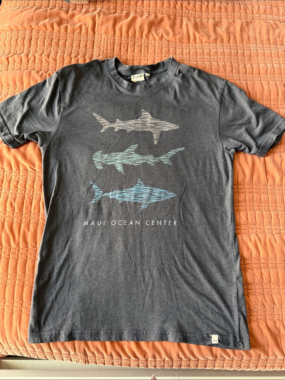 Charcoal Short Sleeve Tee with Blue-Green Shark Graphic